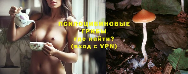 кокс Алексин