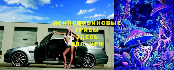 мяу мяу мука Алексеевка