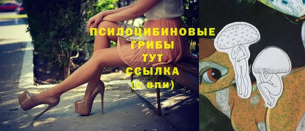 винт Аркадак
